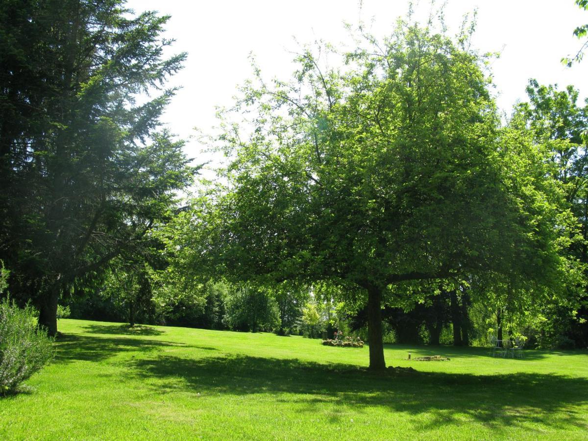 Gite Ligerie Saint-Martin-des-Pezerits Esterno foto