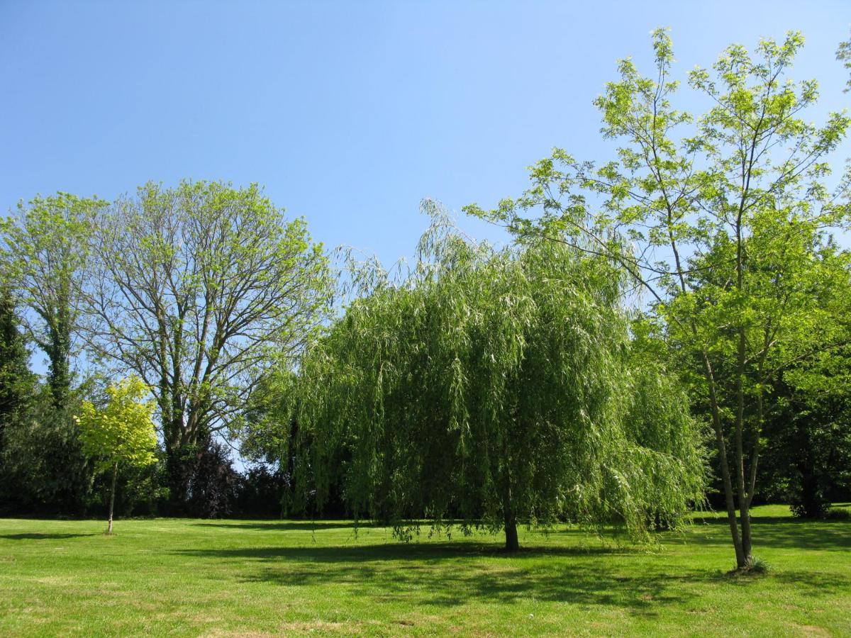 Gite Ligerie Saint-Martin-des-Pezerits Esterno foto
