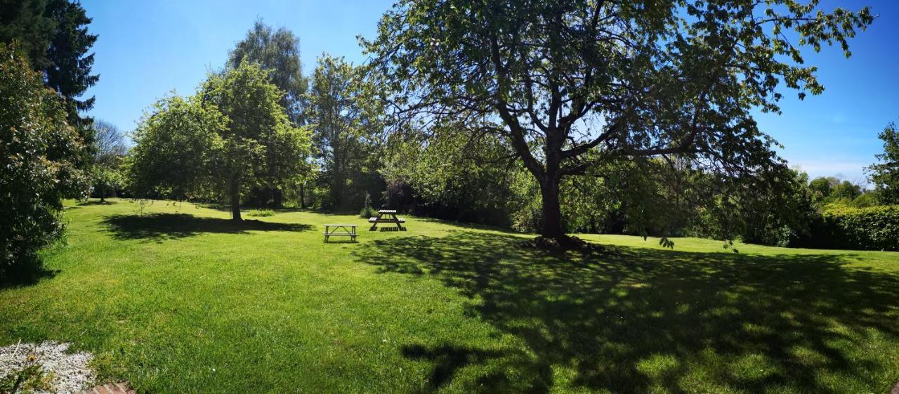 Gite Ligerie Saint-Martin-des-Pezerits Esterno foto